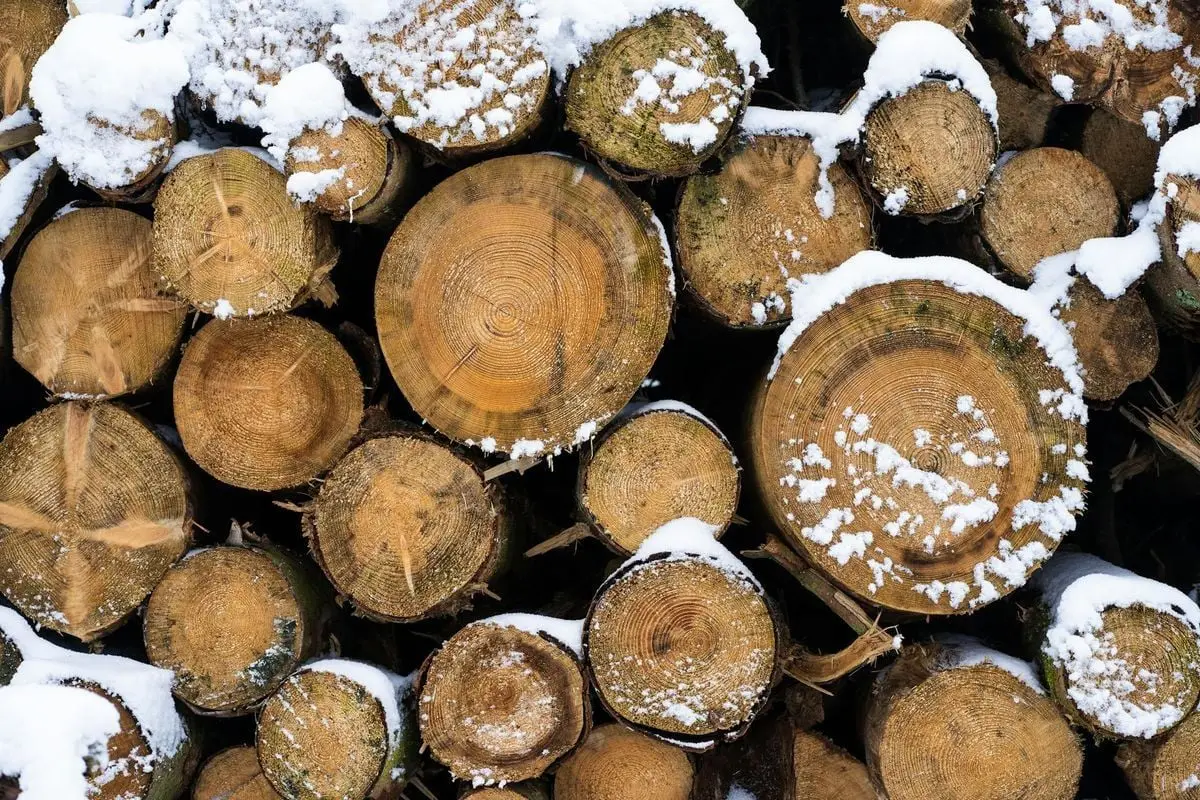 Snow-covered wood logs stacked in winter, showcasing natural textures and patterns.