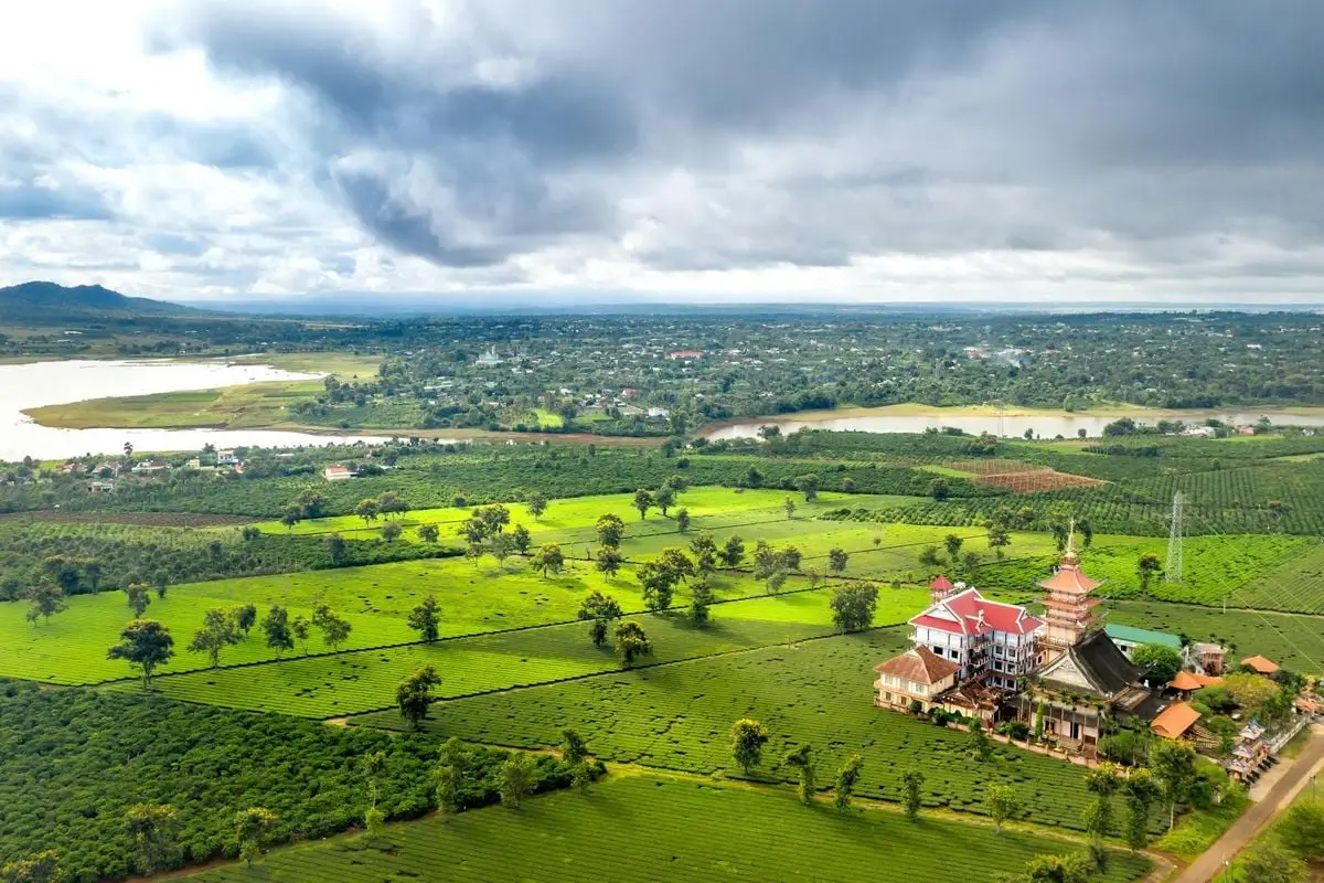 Aerial view of vibrant rural landscape featuring fields, trees, and distant water bodies on a cloudy day.