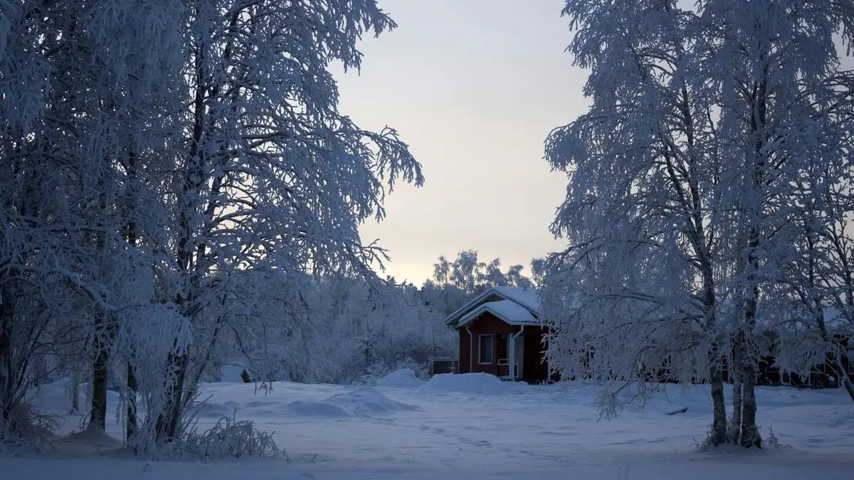A serene winter scene featuring a snowy cabin in Inari, Finland's frosty forest.