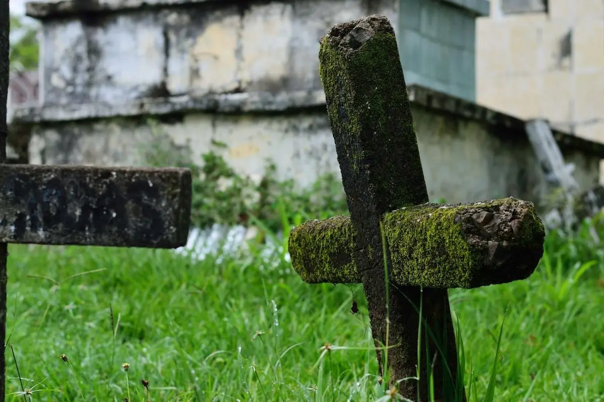 A moss-covered cross stands in an overgrown, ancient cemetery, evoking a mysterious atmosphere.