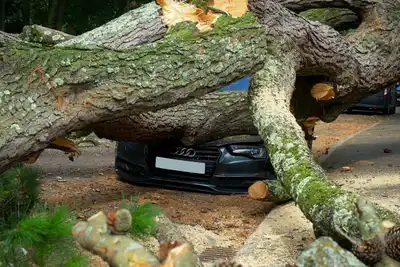 İzmir depreminde ölü sayısı artıyor