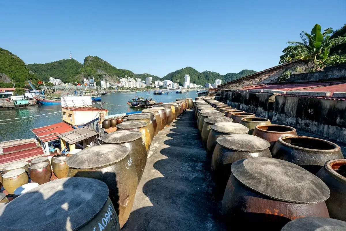 View of Cat Ba Island harbor with barrels and boats under a clear sky.