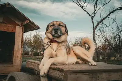 Kamu Personeli Seçme Sınavı'nda (KPSS) oturumlar iptal edildi.