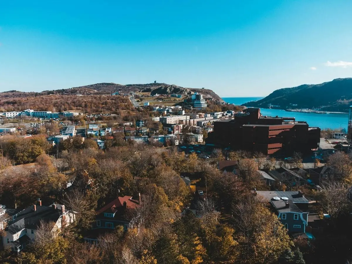 Aerial photograph showcasing a coastal town with vibrant foliage under a clear blue sky.