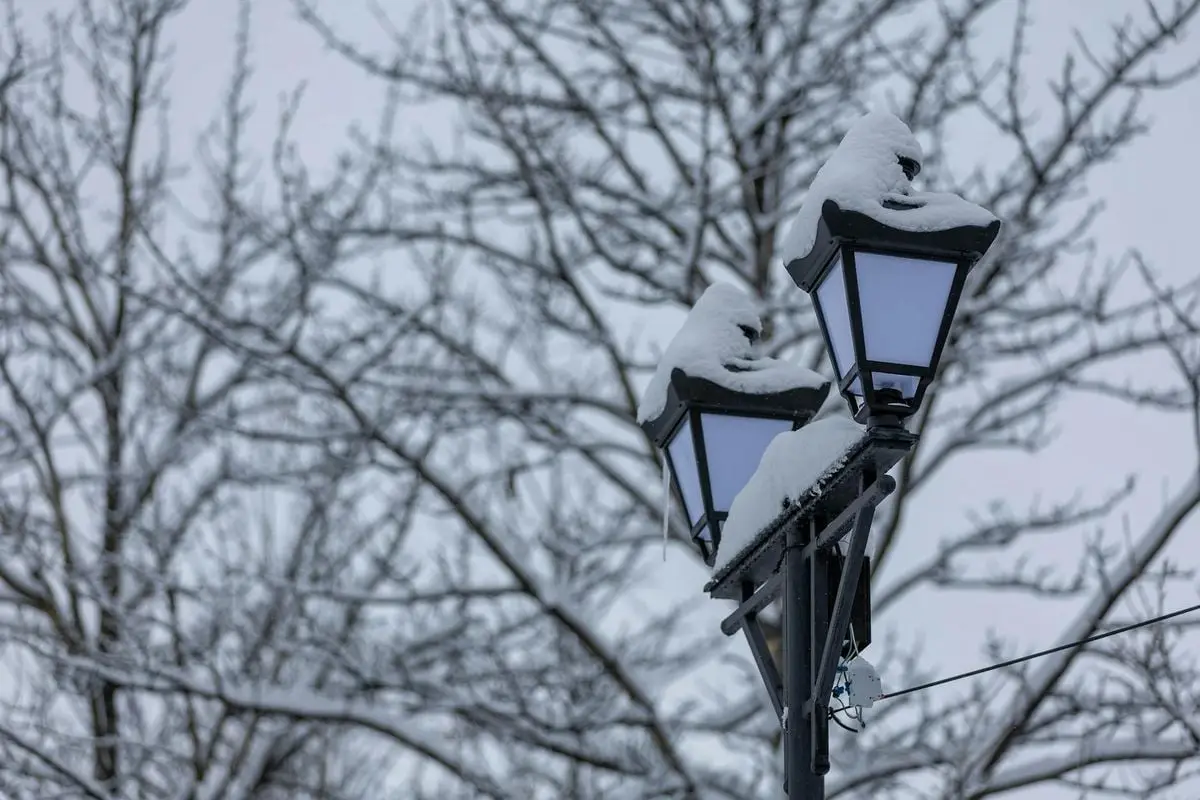 A snow-covered street lamp against bare trees, capturing a serene winter park scene.