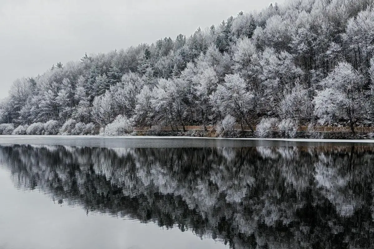 Winter scene of snowy forest and lake reflection in Ankara, creating a tranquil and picturesque view.