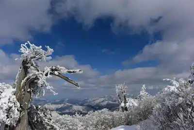 Karaman'da kaza 2 yaralı