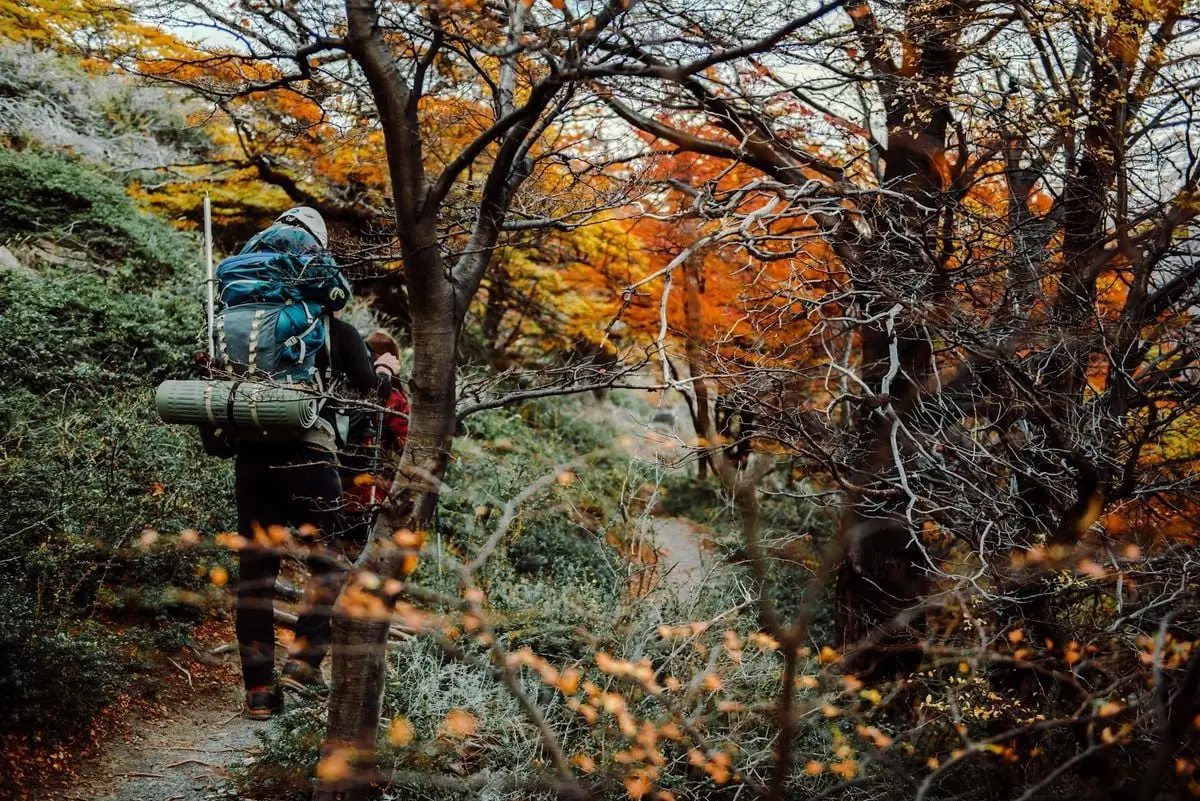 Two backpackers explore the vibrant autumn forest of El Chalten, Argentina.