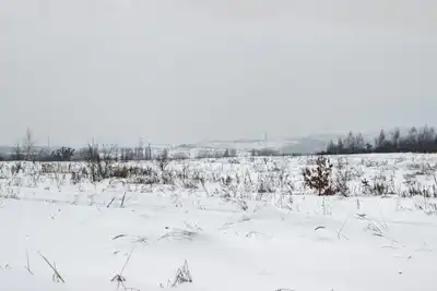 KARAMAN KAMUSEN İL TEMSİLCİLİĞİ BASIN AÇIKLAMASI