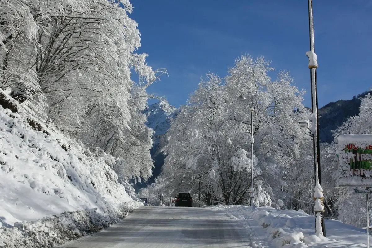 A solitary car travels a snowy road amidst a peaceful winter forest under a clear blue sky.