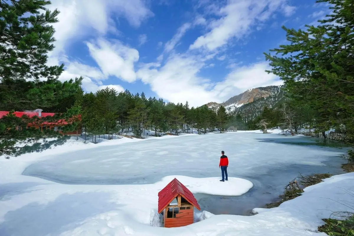 Stunning winter landscape of a frozen lake in Gümüşhane, Türkiye featuring mountains and pine trees.