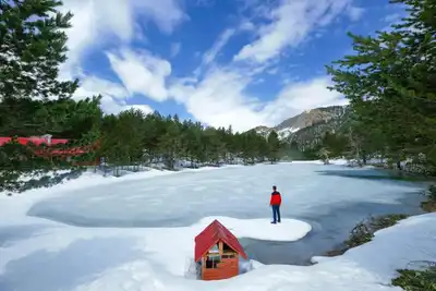 Stunning winter landscape of a frozen lake in Gümüşhane, Türkiye featuring mountains and pine trees.