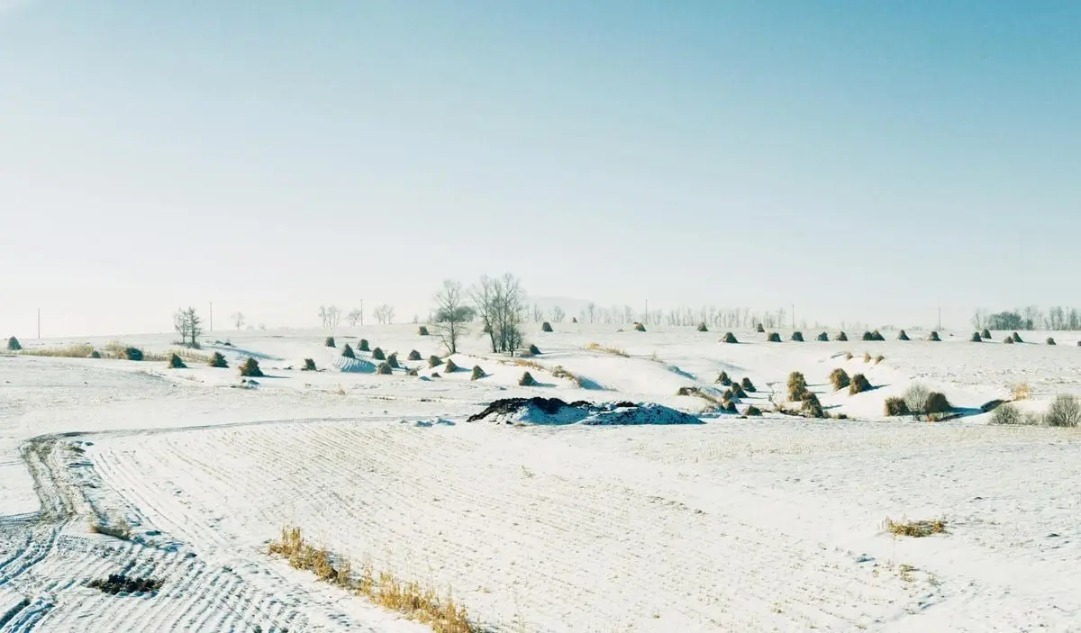 Snow-covered fields and haystacks under a bright blue sky in Cát Lâm, China.