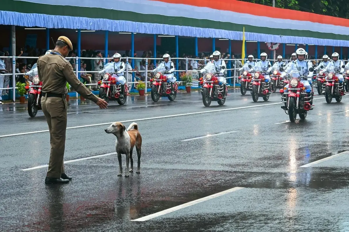 A police officer gestures to a dog on a wet street during a motorcycle parade with uniformed officers and red bikes.