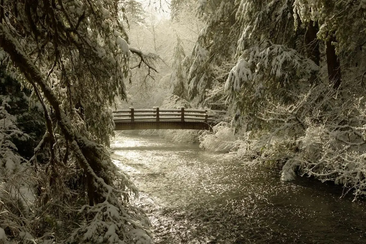 A serene winter scene featuring a footbridge over a snow-covered creek in a tranquil forest.