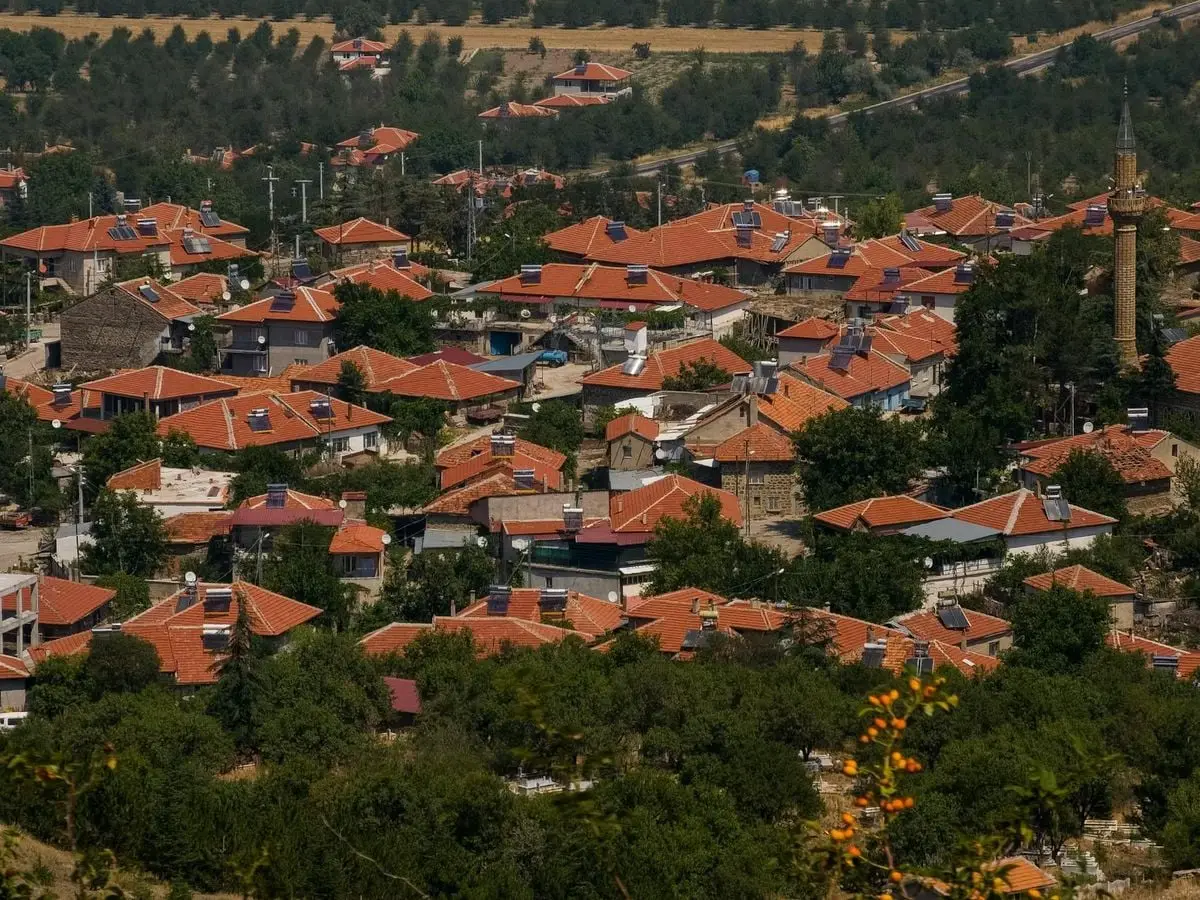 Charming village landscape with red roofed houses surrounded by lush greenery, captured in daylight.