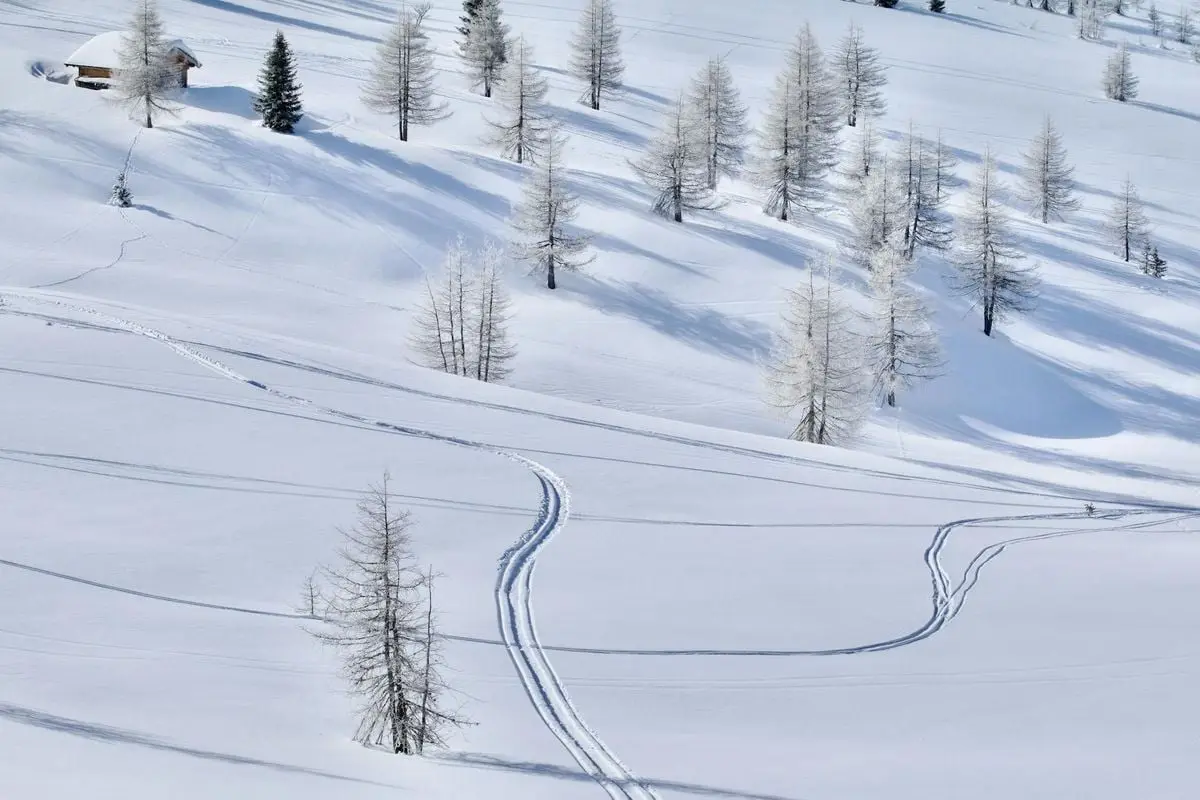 A picturesque snowy landscape with ski tracks and sparse trees in Trentino, Italy.