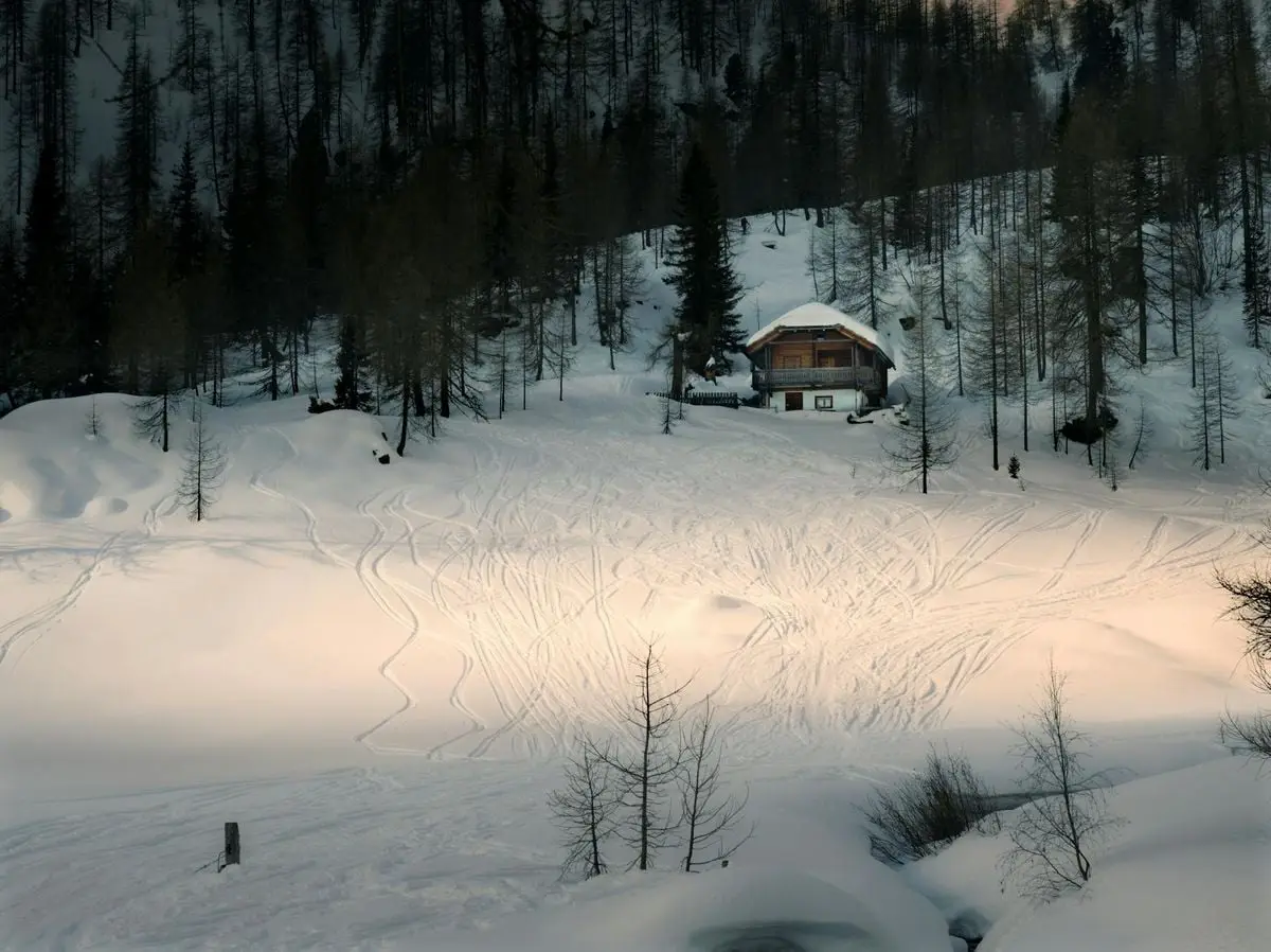 A cozy cabin surrounded by snow-covered trees, basking in winter's tranquil beauty.