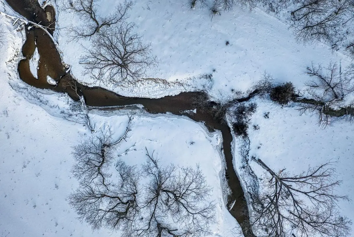 Aerial shot of a snowy landscape with a winding river and bare trees, capturing the winter scenery.