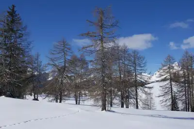 Karaman'ın Bir Vekili Var
