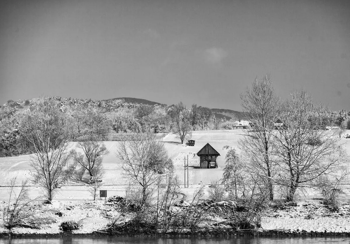 Peaceful snow-covered scene with trees and a cabin in Slovenia during winter.