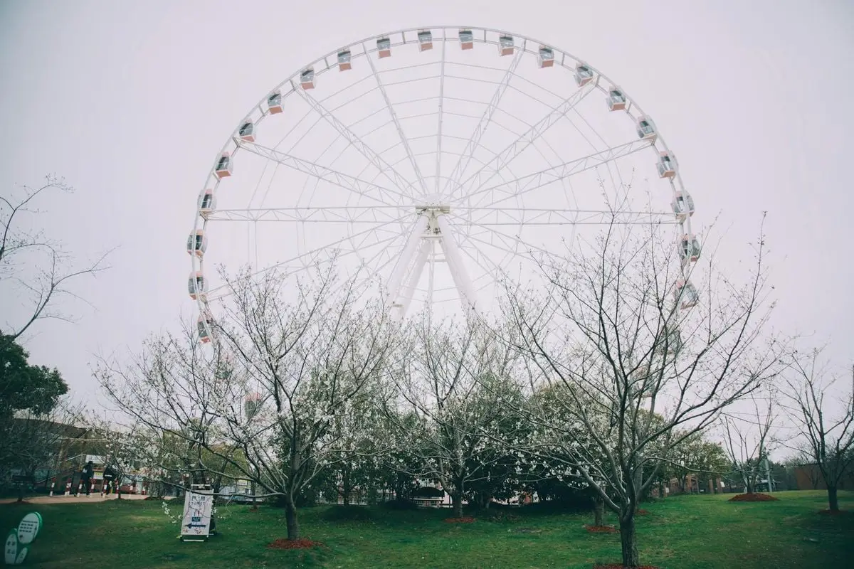 A towering Ferris wheel amidst blooming trees in a park during spring in Shanghai, China.