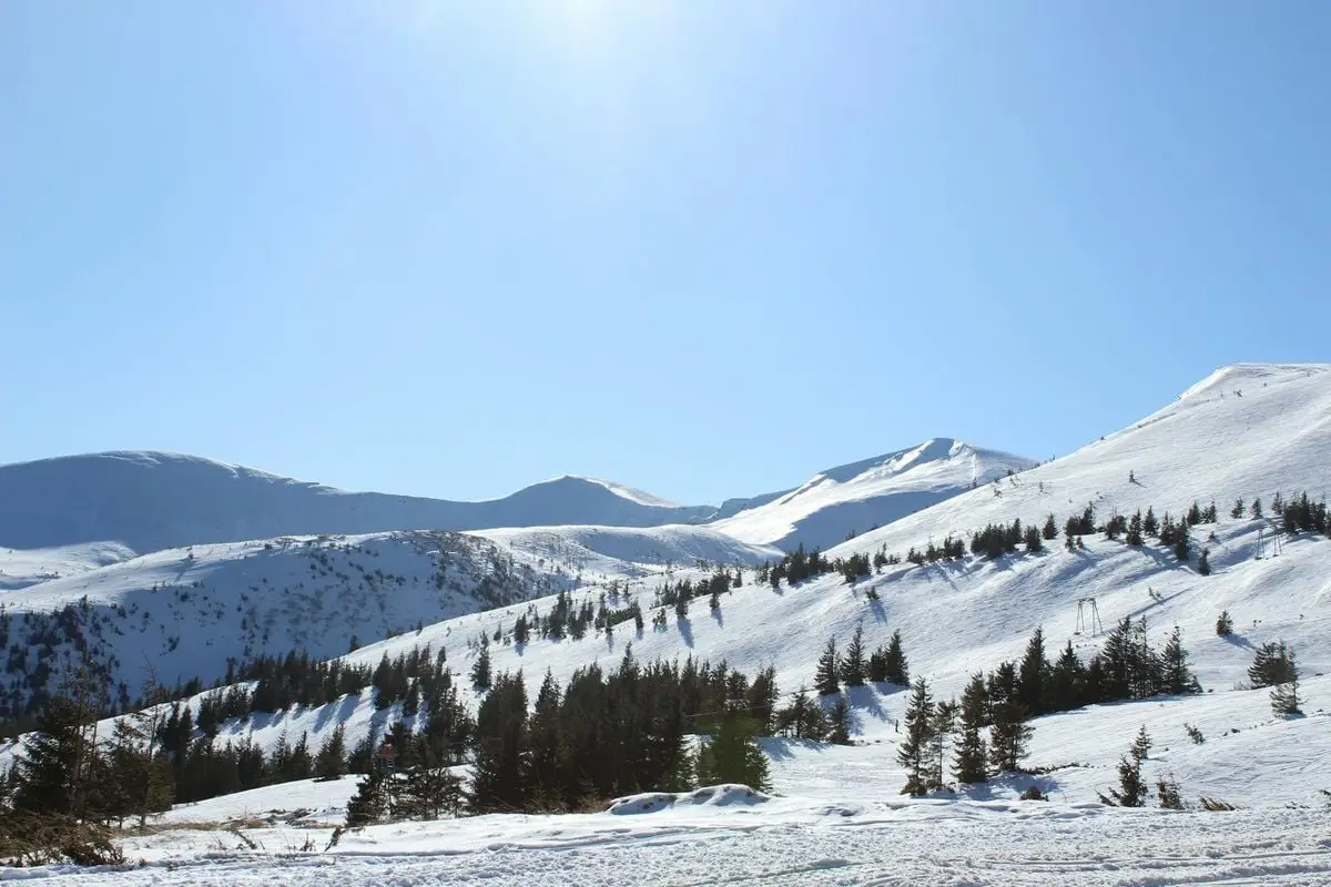 Stunning snowy mountain landscape with fir trees and a clear blue sky, perfect for winter photography.