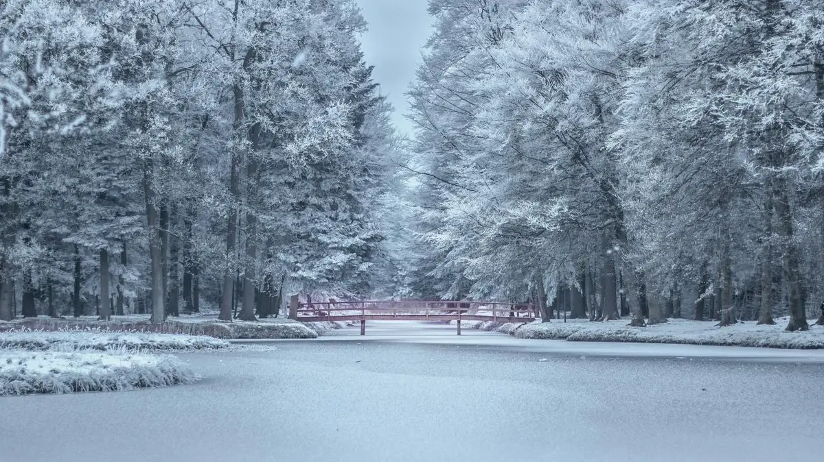 A picturesque scene of a snowy bridge over a frozen lake with frost-covered trees, evoking winter serenity.