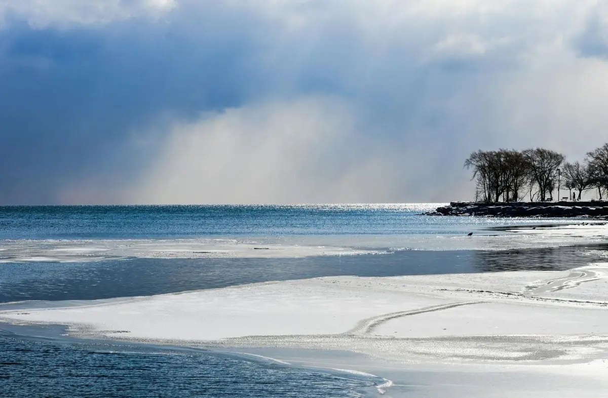 Frozen seashore with icy landscape and bare trees under a dramatic cloudy sky.
