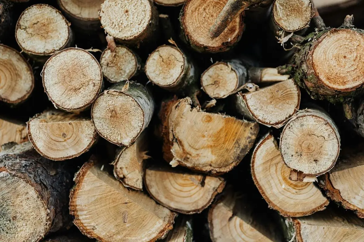Big stack of logs of different shapes and sizes prepared for fuelwood in countryside