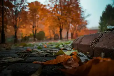 KİLİTLİ PARKE ÇALIŞMALARI DEVAM EDİYOR
