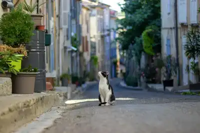 Konya Ermenek'liler Gecesi 26 Ocak'ta