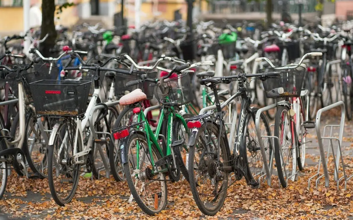 Bicycles parked in a city street with dry leaves during fall, showcasing urban transport.