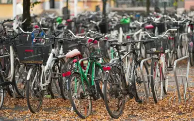 KORULUKTA OTOPARK ÇALIŞMASI YAPILIYOR