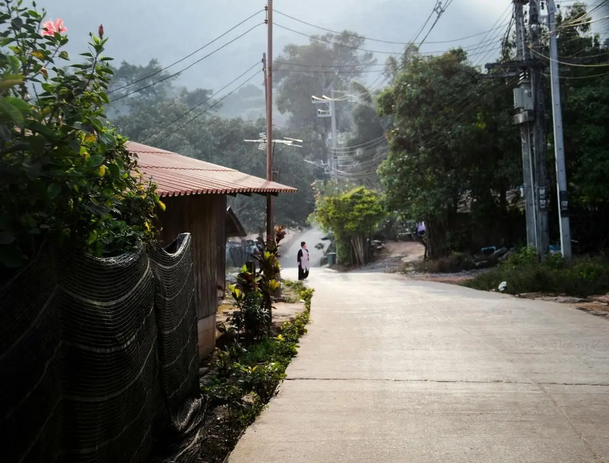 A peaceful village road with rustic houses, greenery, and power lines under a soft morning light.