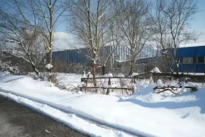 Winter landscape featuring snow-covered trees and industrial buildings under a clear blue sky.
