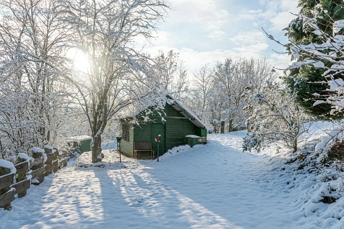 A charming cabin nestled among snow-covered trees under a bright winter sun.