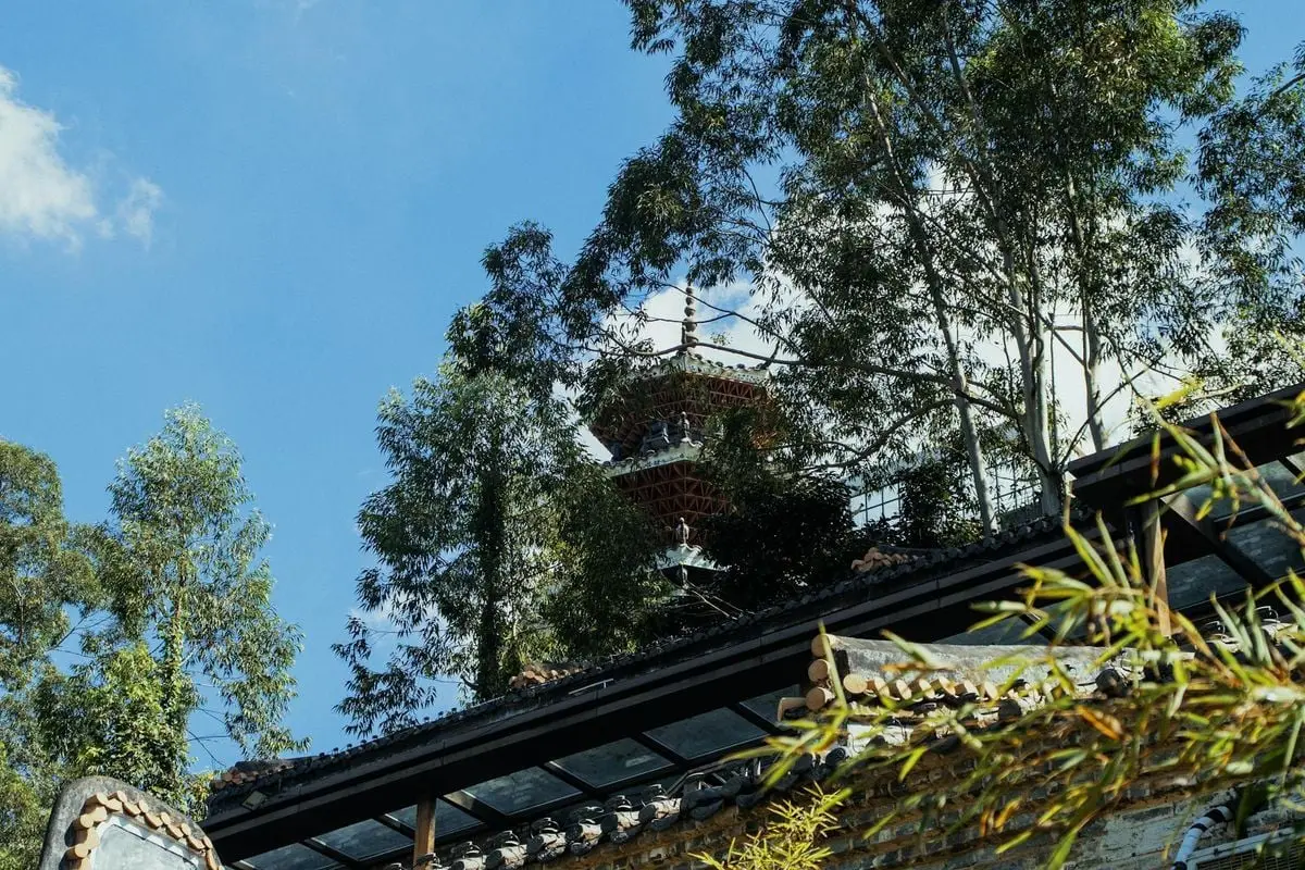 A traditional pagoda nestled among tall trees under a clear blue sky.