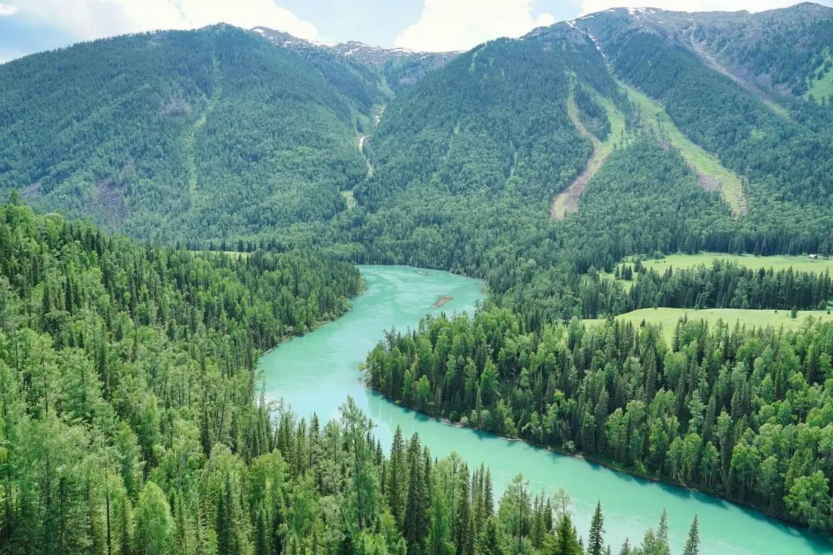 Aerial view of green river winding through lush forested mountains in summer.