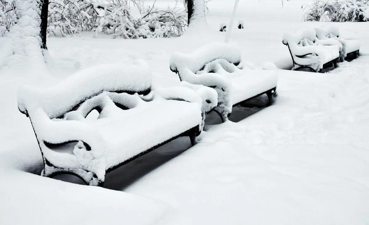 Beautiful snow-covered benches in a tranquil winter landscape. Perfect for a serene, cold weather vibe.
