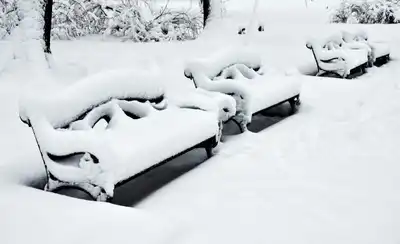 Mut'tan çalınan keçiler Karamanda bulundu