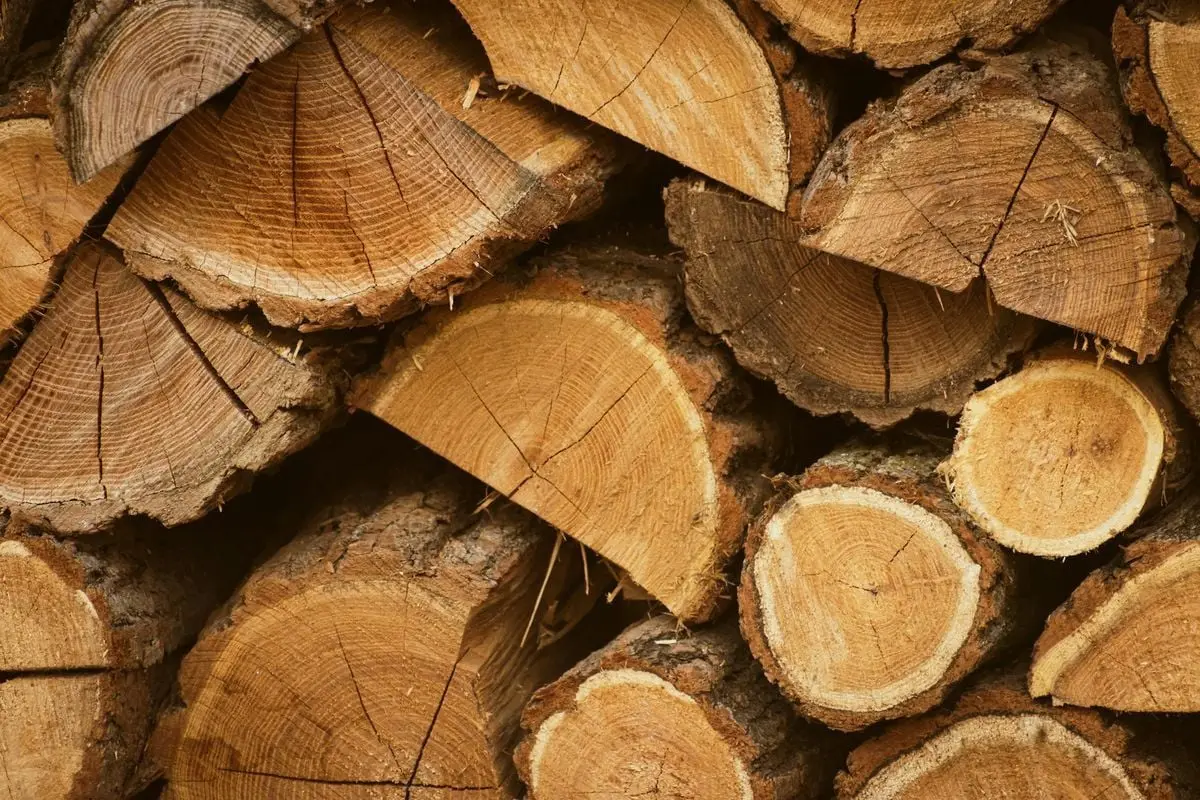 Close-up of a neatly stacked woodpile featuring chopped logs with visible tree rings and textures.