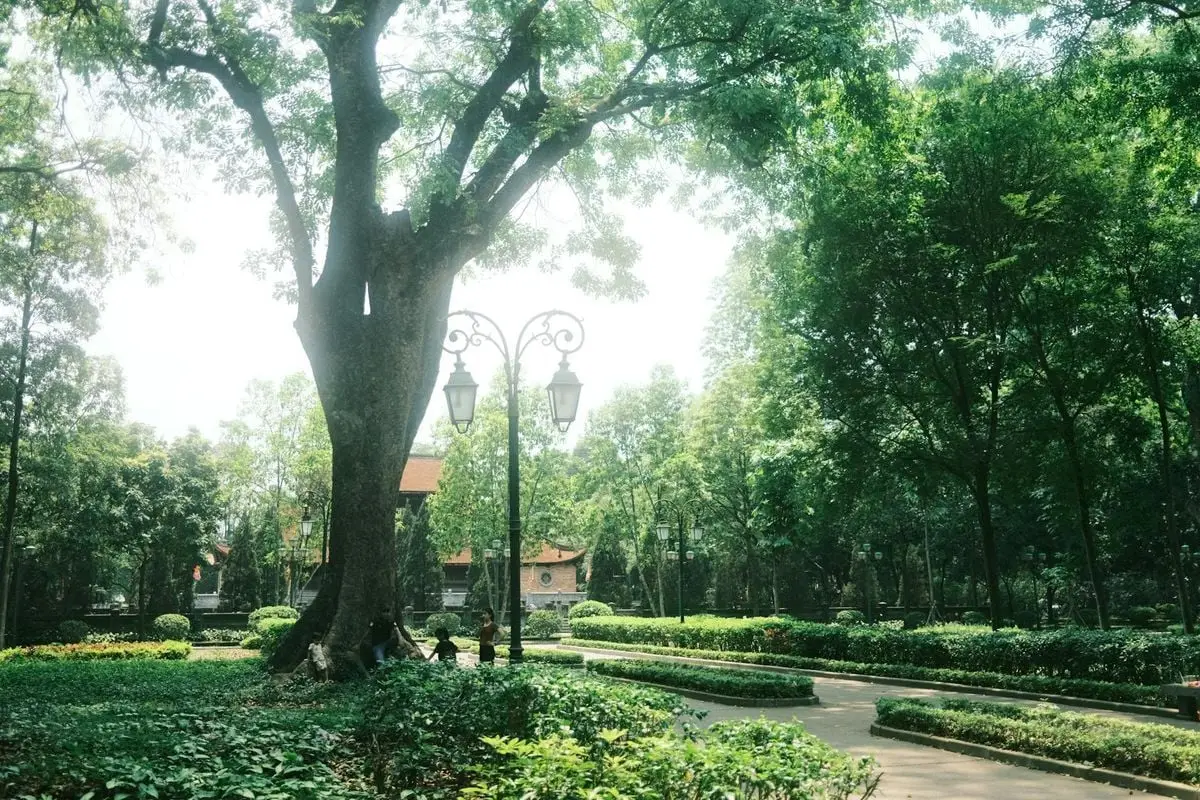 A serene urban park scene featuring lush greenery and vintage street lamps, perfect for peaceful escapes.