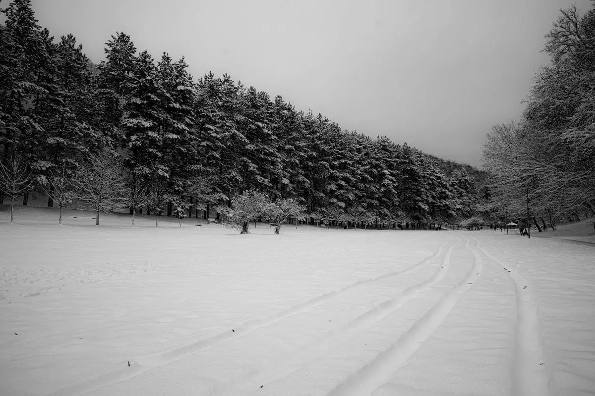 Beautiful black and white photo of a peaceful snowy landscape in Pristina, showcasing pristine nature.