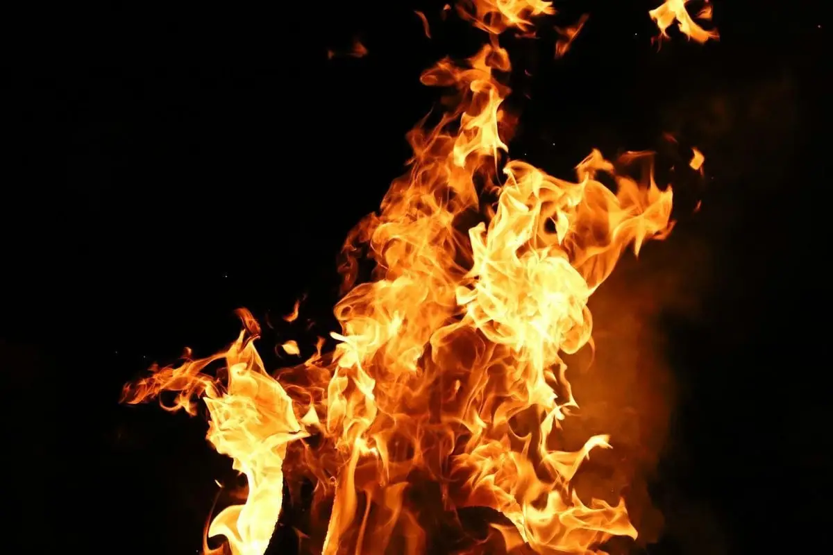Intense flames with bright orange colors set against a dark backdrop highlighting their fiery elegance.