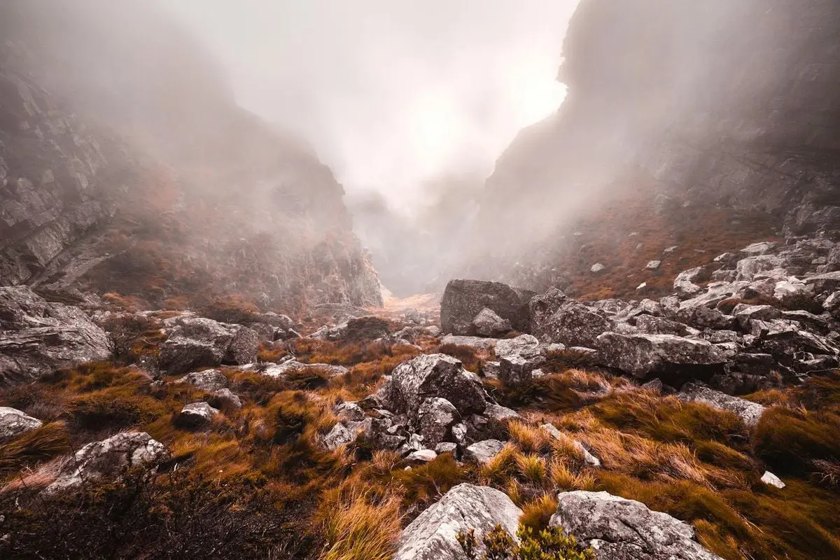 Foggy mountain scenery with rocks and grasses in Cape Town, South Africa.