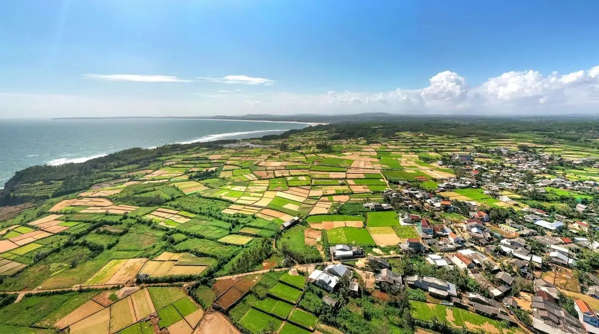 A stunning aerial shot capturing lush farmlands by the coast with a clear view of the ocean and a nearby town.