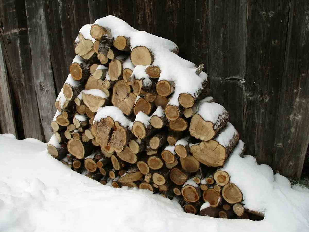 A stack of firewood covered with fresh snow against a rustic wooden wall, capturing a winter scene.