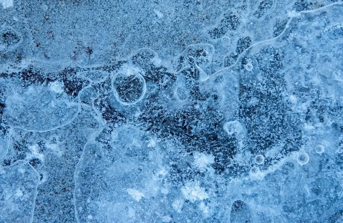 Detailed close-up of a textured icy surface with bubbles and intricate patterns.
