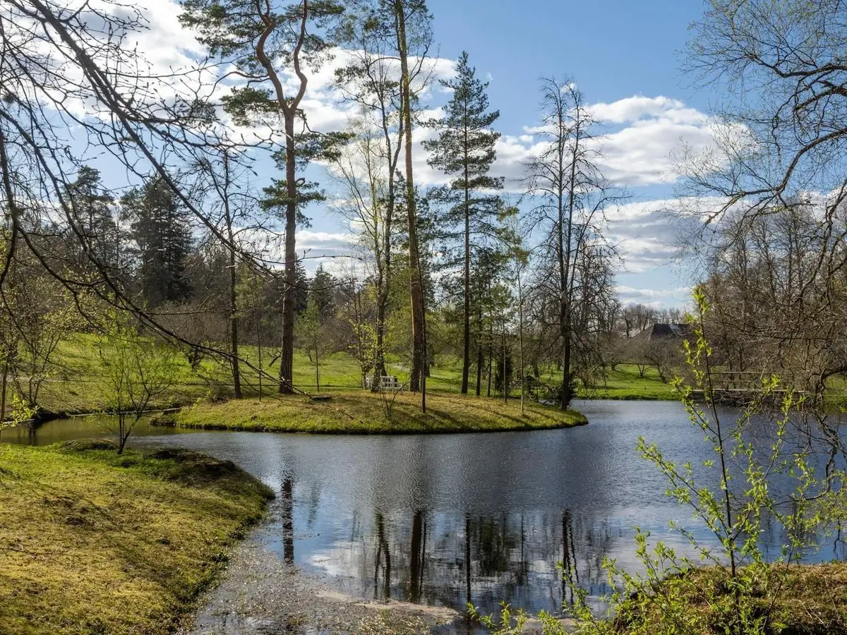 Tranquil lakeside scene with trees reflecting in the water on a bright sunny day.